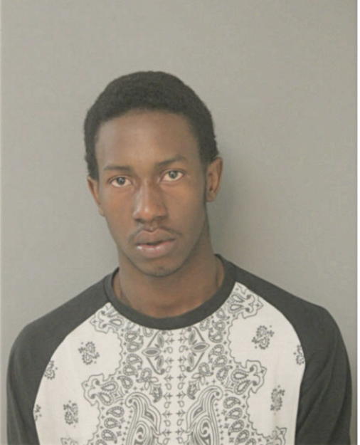 SAID H IBRAHIM, Cook County, Illinois