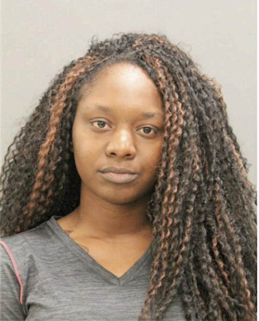 ASHANTI T LEWIS, Cook County, Illinois