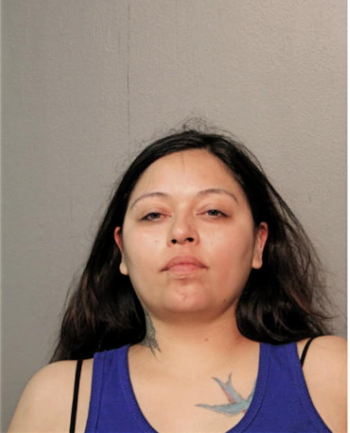 KARLA P LIMA, Cook County, Illinois
