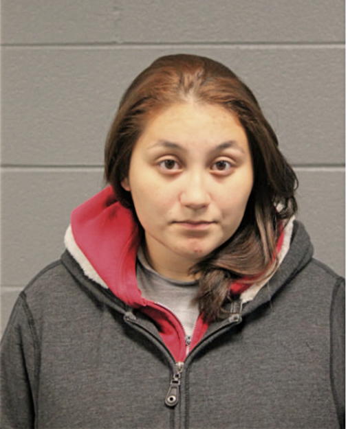 ROSA J MARTINEZ, Cook County, Illinois