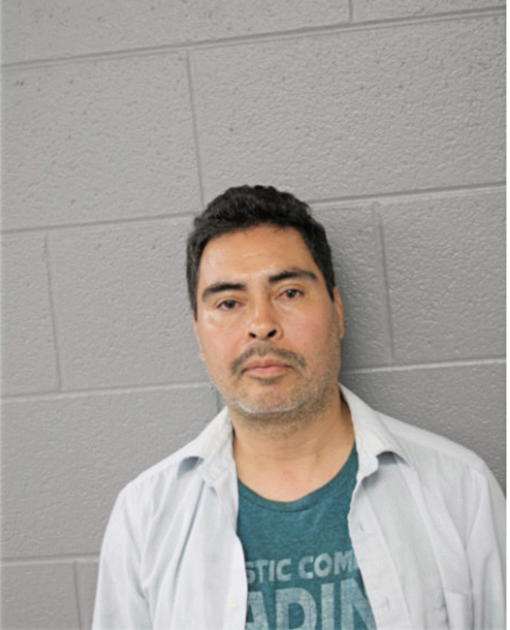 SALVADOR F OLAYO, Cook County, Illinois