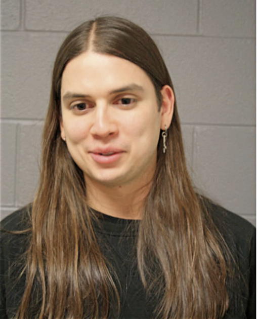 MICHAEL L PETERS, Cook County, Illinois