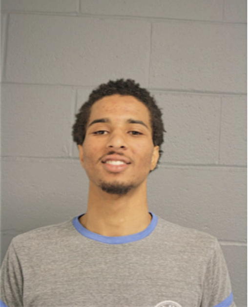 JEREMY A REED, Cook County, Illinois