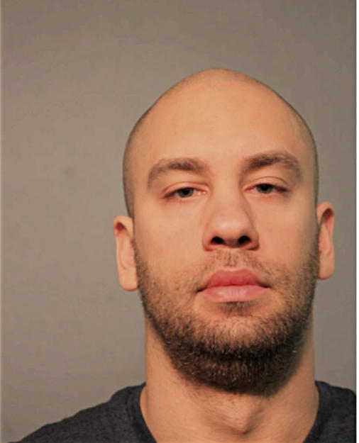 CHRISTOPHER H SHANNON, Cook County, Illinois
