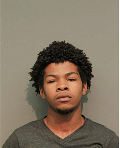 DAVID C THOMPSON, Cook County, Illinois