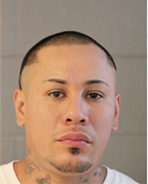 RAUL ALVARADO, Cook County, Illinois
