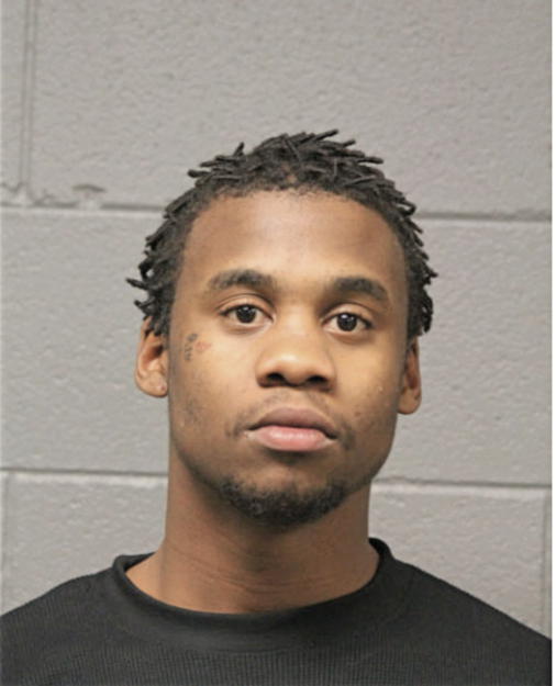 TERRELL L DAVIDSON, Cook County, Illinois