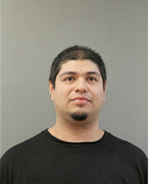 ELVIR A DEJESUS, Cook County, Illinois