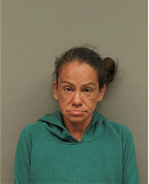 ANDREA J DRAIN, Cook County, Illinois