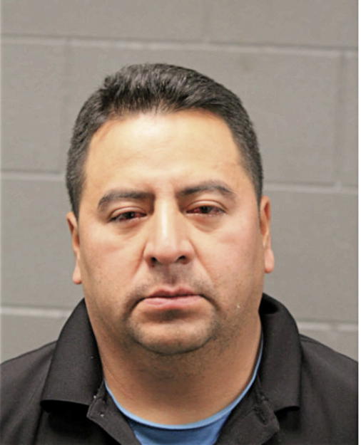 LUIS SAUL FERNANDEZ, Cook County, Illinois