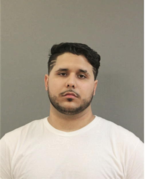 ANGEL D GARCIA, Cook County, Illinois