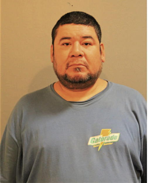 DAVID J GARCIA, Cook County, Illinois