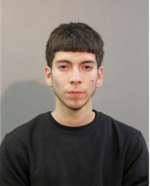 ENRIQUE GARCIA, Cook County, Illinois