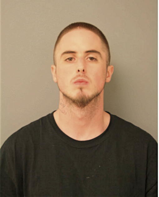 JOSHUA HERMAN, Cook County, Illinois