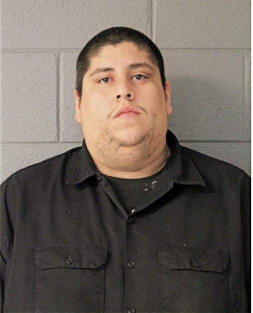 NELSON E HERNANDEZ, Cook County, Illinois