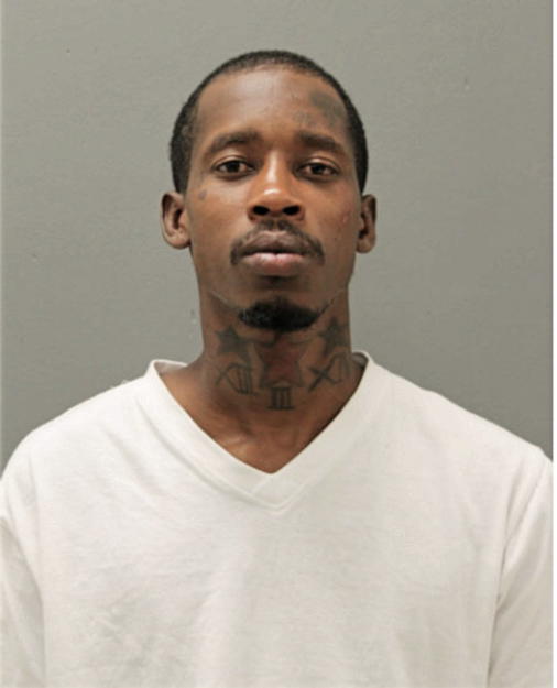 ANTHONY J JOHNSON, Cook County, Illinois