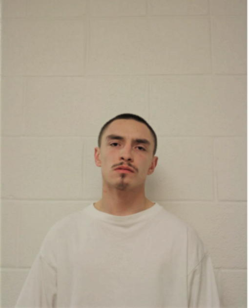 DAVID JOHNSON, Cook County, Illinois