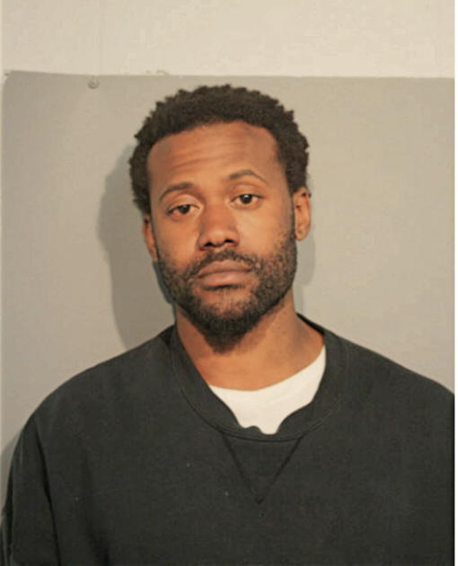 MICHAEL L JOHNSON, Cook County, Illinois