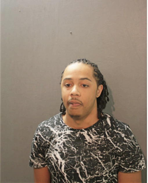 JOSHUA D MARTIN, Cook County, Illinois