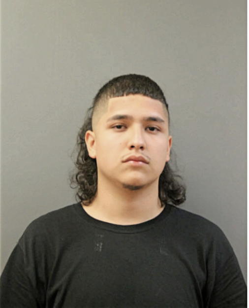 CHRISTOPHER MARTINEZ, Cook County, Illinois