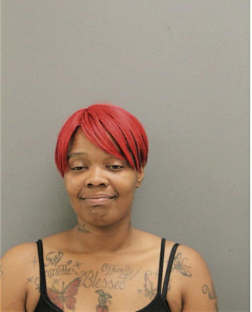 ERICA L NELLEM, Cook County, Illinois