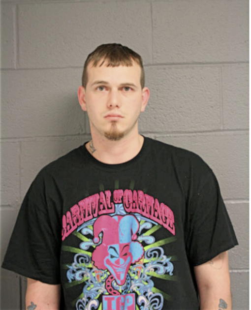 RONALD S NICHOLS, Cook County, Illinois