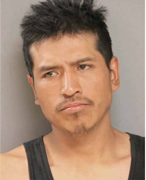 ANTONIO ORTEGA, Cook County, Illinois