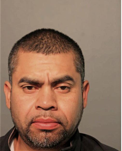 DAVID PARTIDA-CAMACHO, Cook County, Illinois