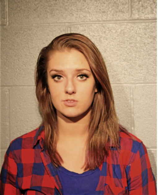LAUREN D REEVES, Cook County, Illinois