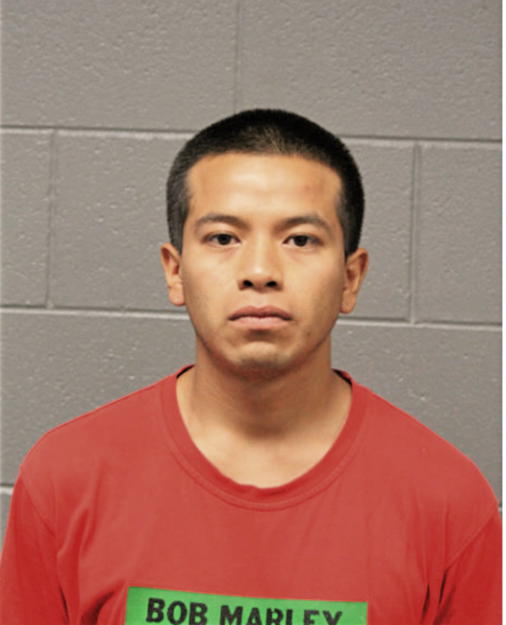 JOSE T ROJAS, Cook County, Illinois