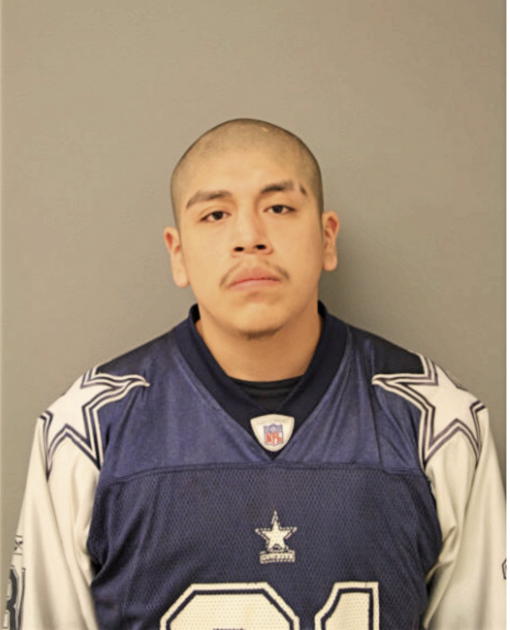 NOE ROMERO, Cook County, Illinois
