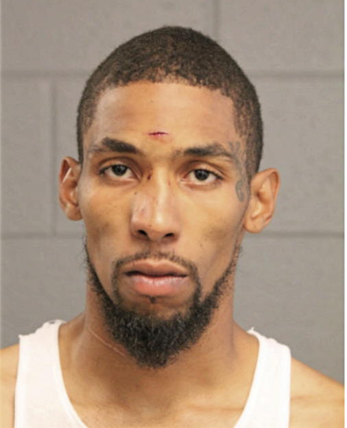 AARON C ROSS, Cook County, Illinois