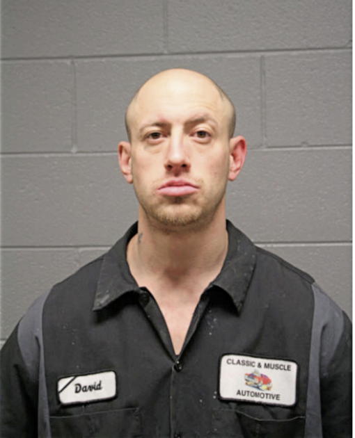 WILLIAM R RYZNER, Cook County, Illinois