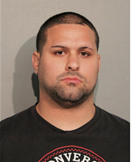 KENNETH R SHER, Cook County, Illinois