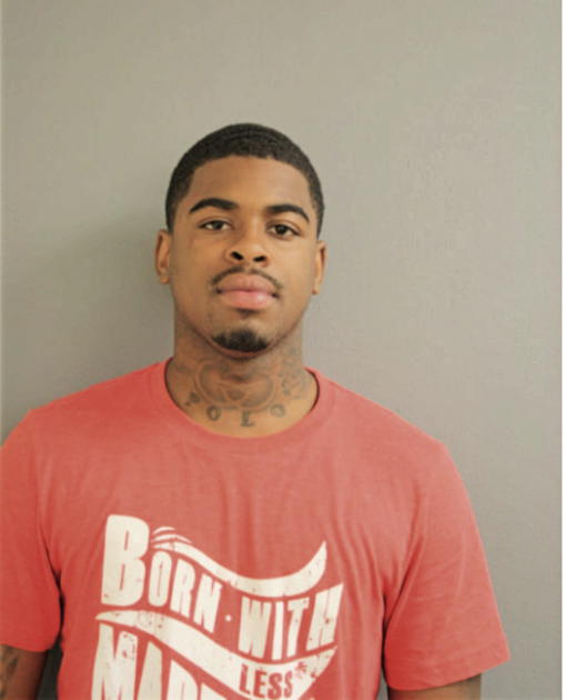 TERRANCE L SMITH, Cook County, Illinois