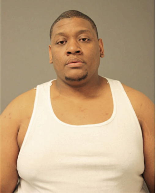 DARYL F STEPHENS, Cook County, Illinois