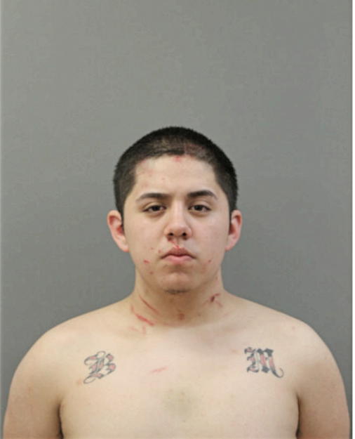 CHRISTIAN A VALENCIA, Cook County, Illinois