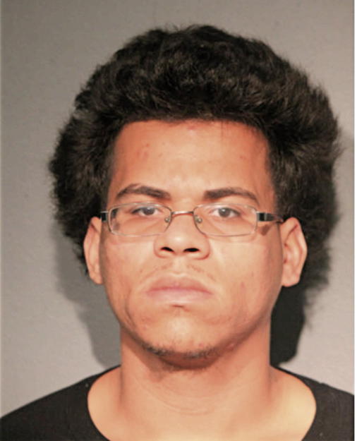 ERICSON L VEGA, Cook County, Illinois