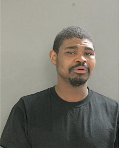 RACHIDE T ANDERSON, Cook County, Illinois