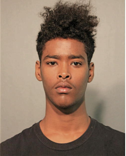 AYUUB ARARSA, Cook County, Illinois
