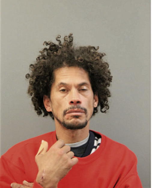 LUIS A BERMUDEZ, Cook County, Illinois