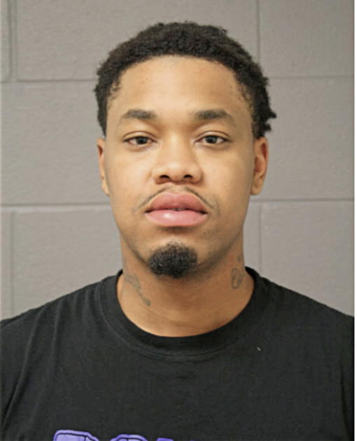 ROBERT E FULTZ, Cook County, Illinois