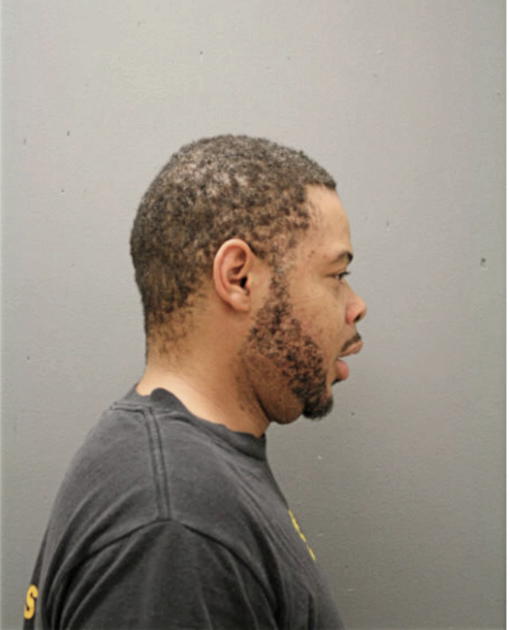 DAVID L GIBSON, Cook County, Illinois