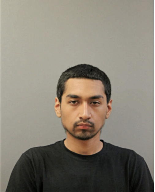 JOSE P GONZALEZ, Cook County, Illinois