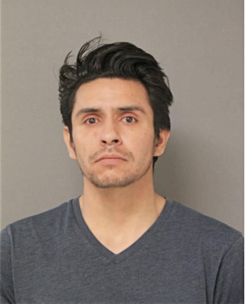 ADAN M IBARRA, Cook County, Illinois