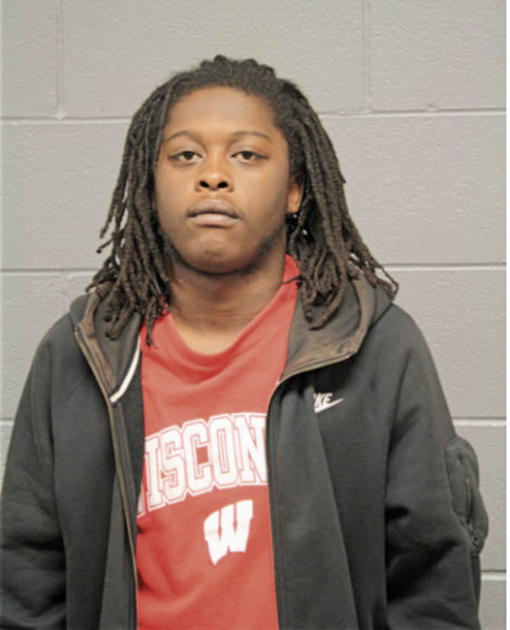 LARRY J ARNOLD, Cook County, Illinois