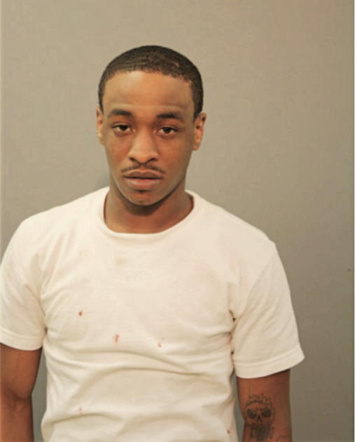 TERRANCE L MILLS, Cook County, Illinois