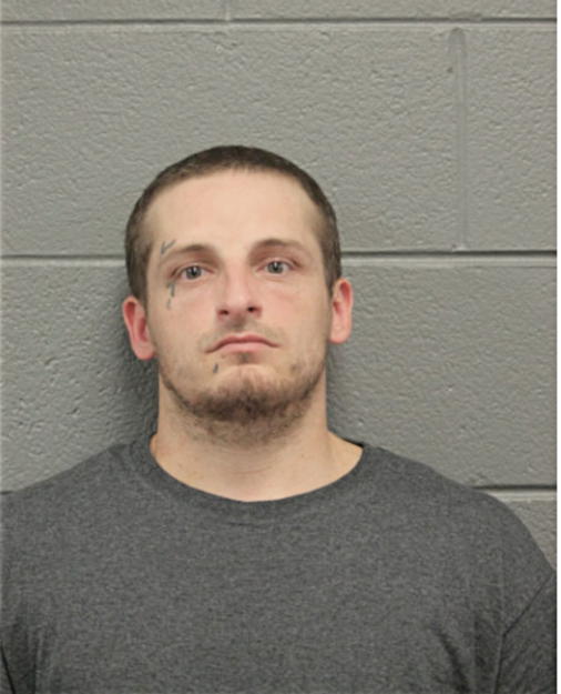 DAVID P LEIPERT, Cook County, Illinois