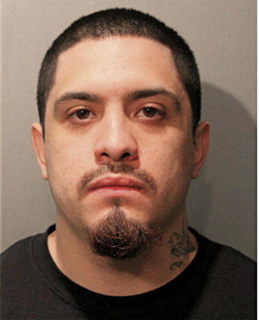 DAVID LOPEZ, Cook County, Illinois