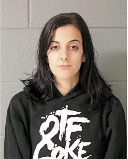 JORDAN M MAREK, Cook County, Illinois